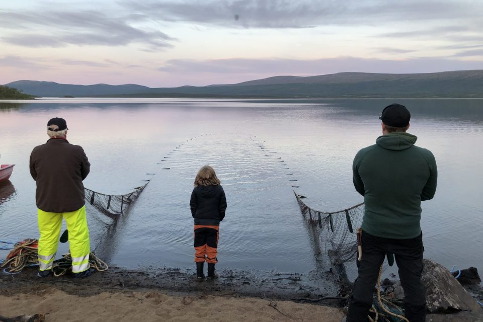Flera generationer fiskar not från stranden